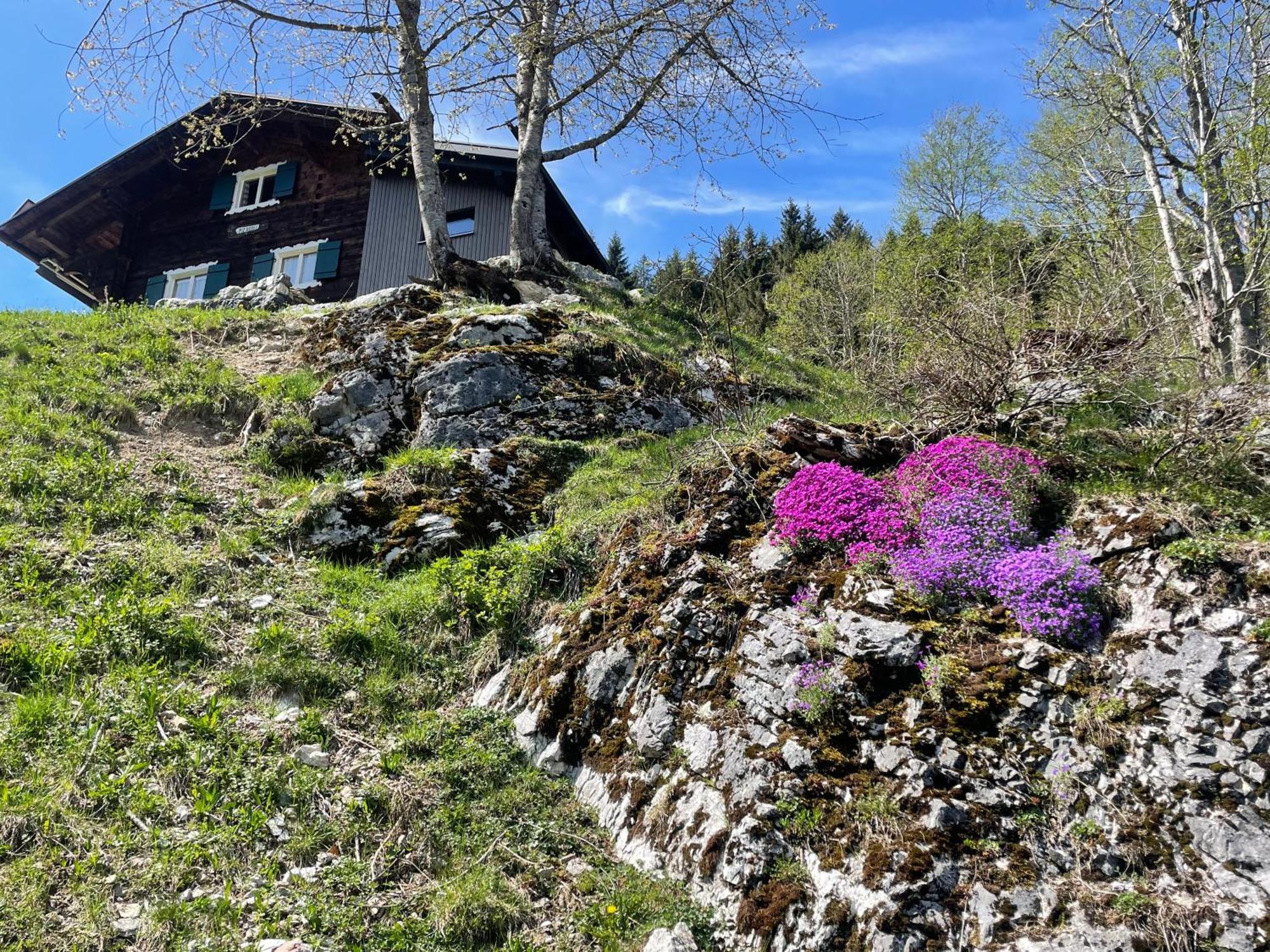 Alpenchalet Piz Huesli Tschagguns Exterior photo